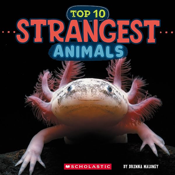 Scariest Animals (Wild World: Top 10): Maloney, Brenna